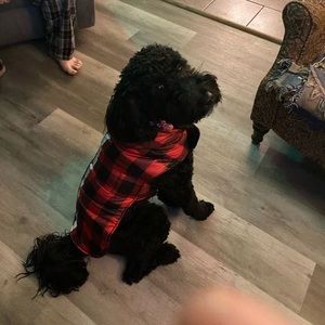 Meet your Posher, Sharon